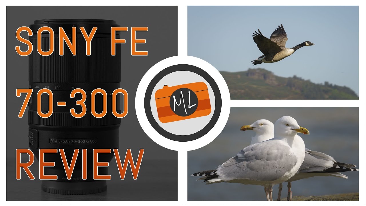 Sony FE 70-300mm f/4.5-5.6 G OSS Review - YouTube