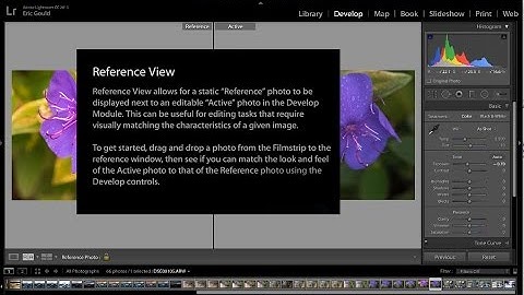 Lightroom Reference View:  new view mode in the Develop Module