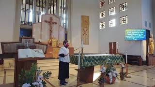 St. Leo Sunday Mass 02.11.2024 (9:30 AM)