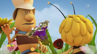 Pcelica Maja E47 Kraljicino Zezlo