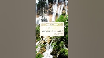 الآية 110 من سورة النساء