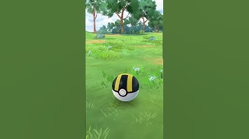 Eevee Community Day 1 Shinies 💖✨️ #pokemon #pokemonchannel #pokemongo #shinypokemon