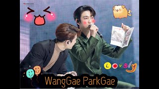 OPV WangGae 💚 ParkGae moments “Take my hand” ความน่ารักของ หวังเกพัคเก ♥️