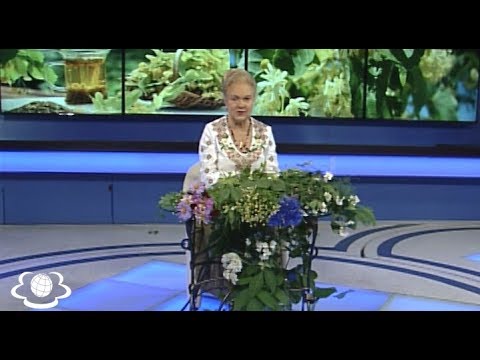 Акація та липа Лікувальні властивості