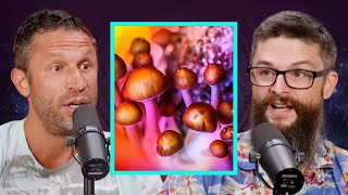 MIND BLOWING Psilocybin (Magic Mushroom) Studies | Matthew Johnson Ph.D.