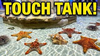 Inside Key West's Most Historic Aquarium Tour