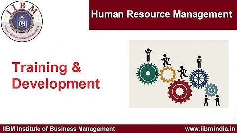 IIBM Institute | Human Resource Management | Training & Development