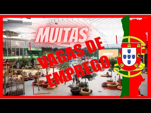 Muitas vagas de Emprego em Portugal 2022??