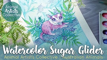 Australlian Sugar Glider Watercolor Painting ~ AAC