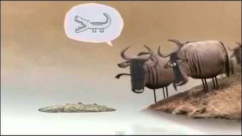 Never argue with stupid people !