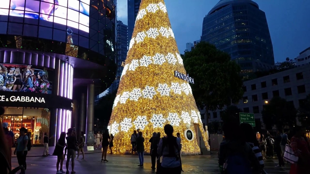 Journey to see the Orchard Road Christmas Lights YouTube