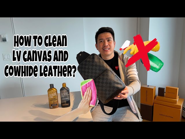 BEFORE AND AFTER How to Clean the Canvas on My Louis Vuitton Handbag ​⁠#diy  #howto 