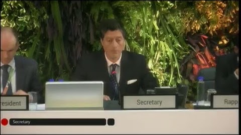 UNEA 3 - National Statements -  Floor Language