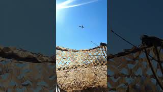 Метко сбил гусей #hunting #goosehunter #birdshunting #тикток