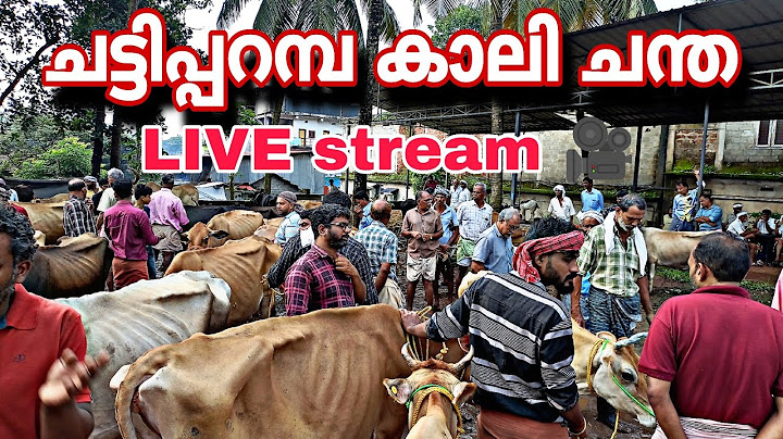 KERALA FARM is live ചട്ടിപ്പറമ്പ്  ഞായറാഴ്ച ചന്ത...ഇഷ്ടം പോലെ കന്നുകൾ