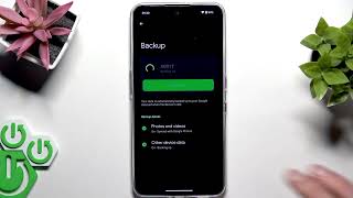 Nothing Phone 3a Lite – Backup & Restore (Google Backup Guide) screenshot 4