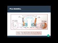 La PILA: la PILA DANIELL, l'ELETTROLISI e la CELLA ELETTROLITICA