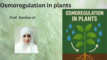 Osmoregulation in plants | hydrophytes | mesophytes | xerophytes | 2nd year | Samina ch tutorial 