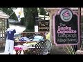 Peddler's Village: Unique Shopping & Family Traditions in Bucks County
