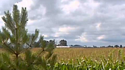 Crop duster sebewaing mi right close to the ground