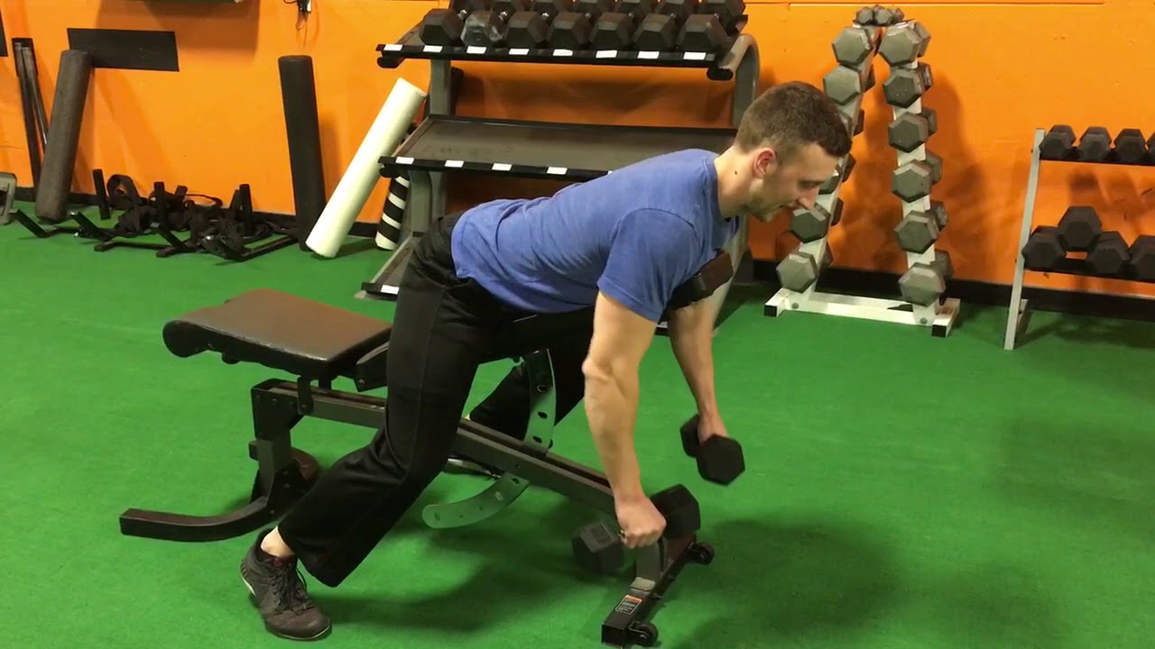 ChestSupported PronatedGrip Dumbbell Row YouTube