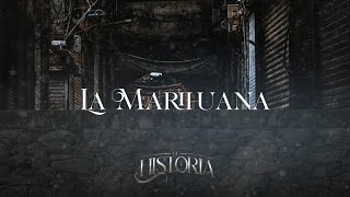 Los Buitres De Culiacán Sinaloa - La Marihuana (Lyric Video)