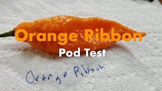 Orange Ribbon From Justin White - 2018 Pod Test