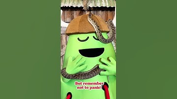 Dumb Ways to Survive: Be safe around snakes! 🐍 #reptiles #snake #dumbwaystosurvive #dumbwaystodie