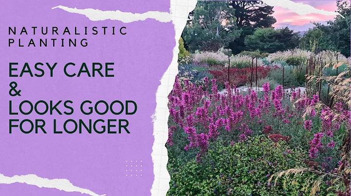 Naturalistic planting design - how to get it right...