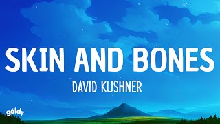 David Kushner - Skin and Bones (Lyrics)