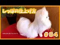 『No.4』羊毛フェルト【リアル可愛いポメラニアンの作り方】My needle felting tools