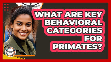 What Are Key Behavioral Categories for Primates?