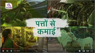 Smart Kheti : Leaf Plate - Five Layer Farming | 26 December, 2021