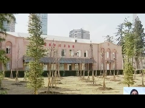 კორონავირუსი - პაციენტების ჯანმრთელობის მდგომარეობა