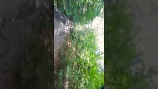 Улашівка, осінь 2021