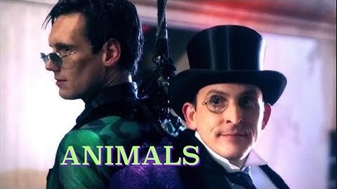 Animals | Gotham Season 1 Oswald Cobblepot and Edward Nygma MMV