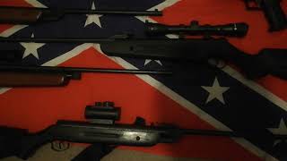 Airgun Collection