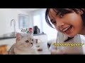 Blackpink Lisa speaking cat language for 4 minutes