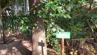 大倉公園(大府市)
