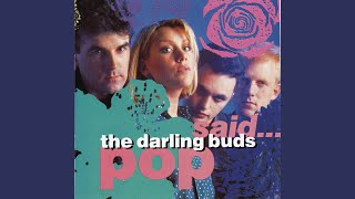 Miniatura de "The Darling Buds - When It Feels Good"