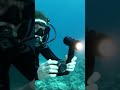 TOP 5: Best Waterproof Camera [2022] | For Taking Underwater Photos #shorts