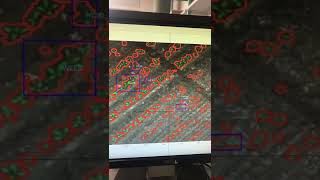 crop and weed annotation. Precision agriculture