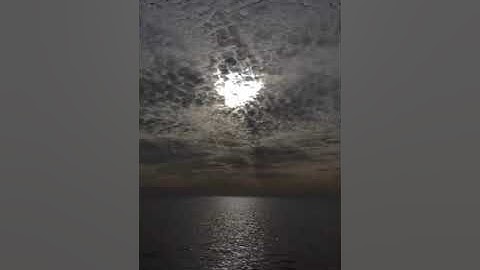 الله نور السماوات والارض 🌹للقارئ: أيمن عماد الدين