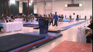 Mikayla Williams Mid Michigan Level 9 Vault