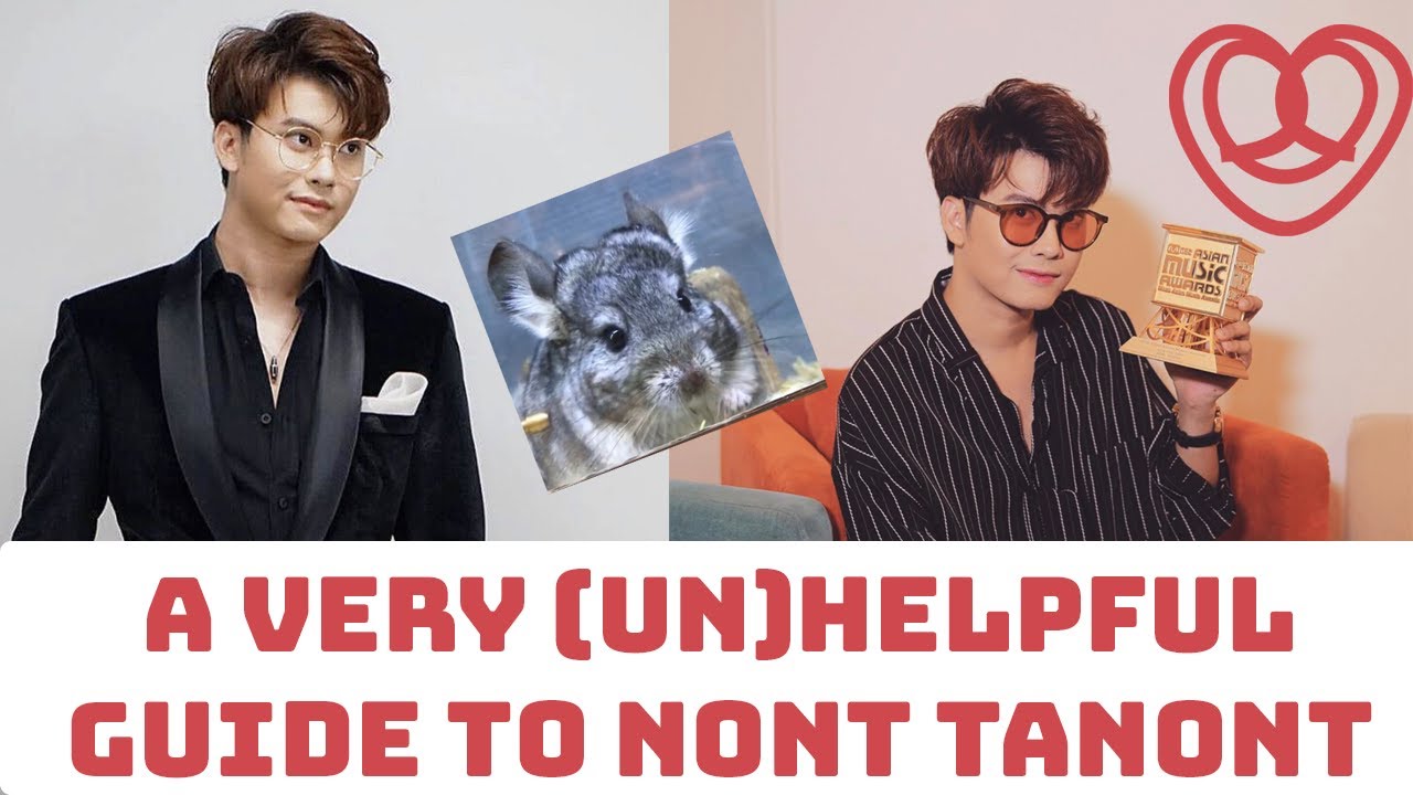 A very (un)Helpful Guide to Nont Tanont