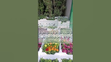 #سورة_الفلق #اكسبلور #دحمان #duet #البرزخ #حالات_واتس #الرحمن #تيك_توك #المراه #villagelife #دويتو
