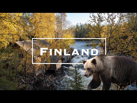 Video: How To Spend A Vacation In Finland