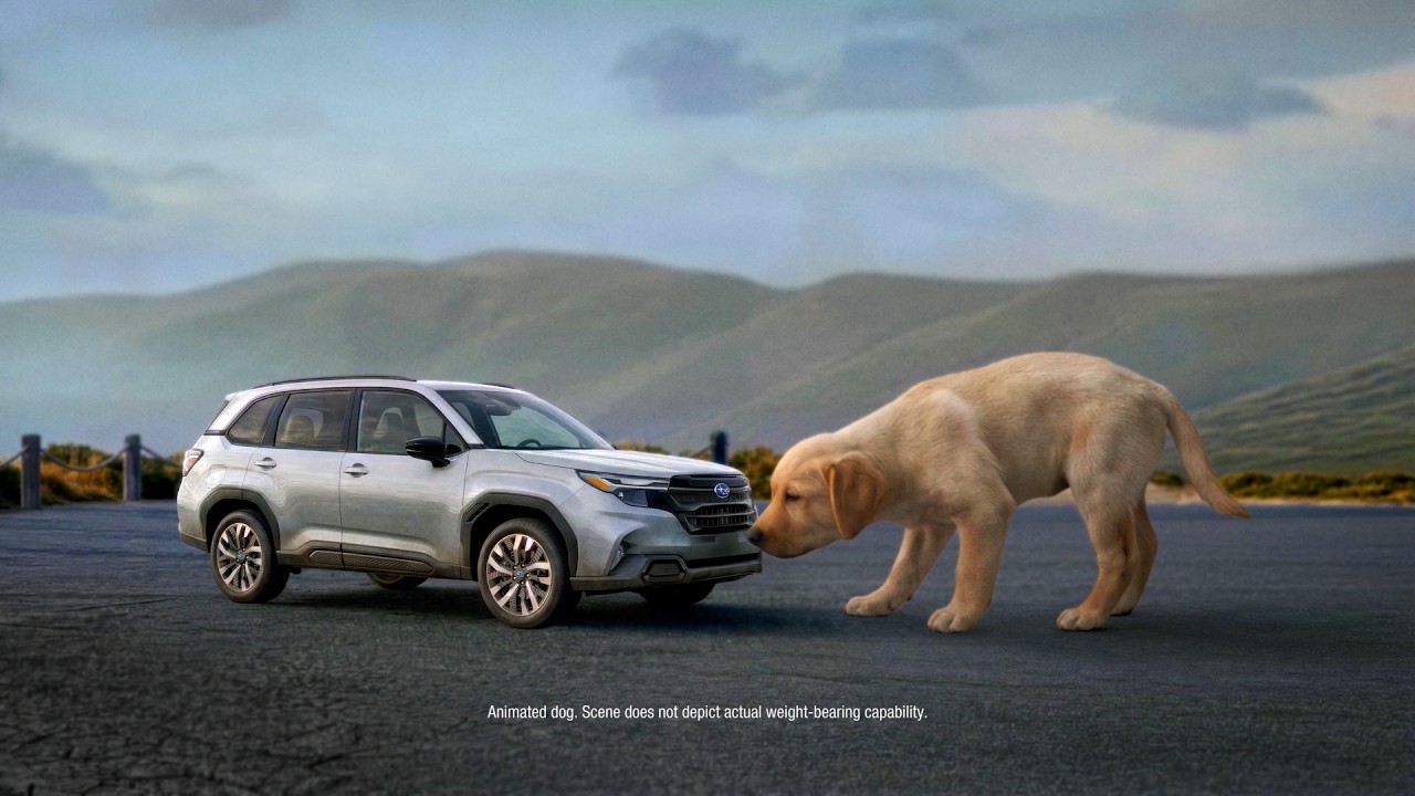 "BIG LOVE FOR THE SUBARU FORESTER” :15 SUBARU | CONSUMER REPORTS