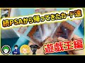 総額〇00万円！遊戯王がPSA鑑定から帰ってきた！【遊戯王】【とりっぴぃ/愛の戦士/タラチオ/はんじょう】