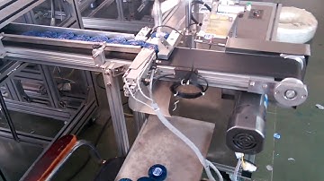 PDCB wrapping and labeling machine樟脑饼包装机 第二代